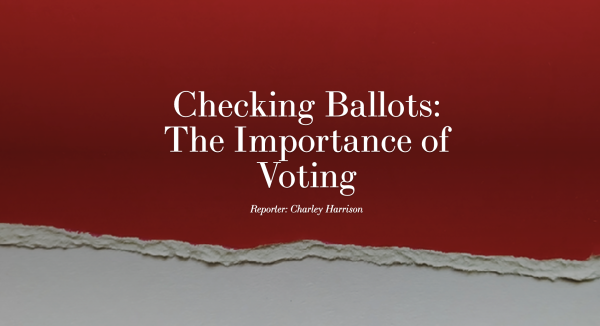 Checking Ballots: The Importance of Voting